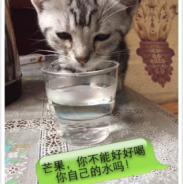 哪里能办大瀑布大学文凭毕业证